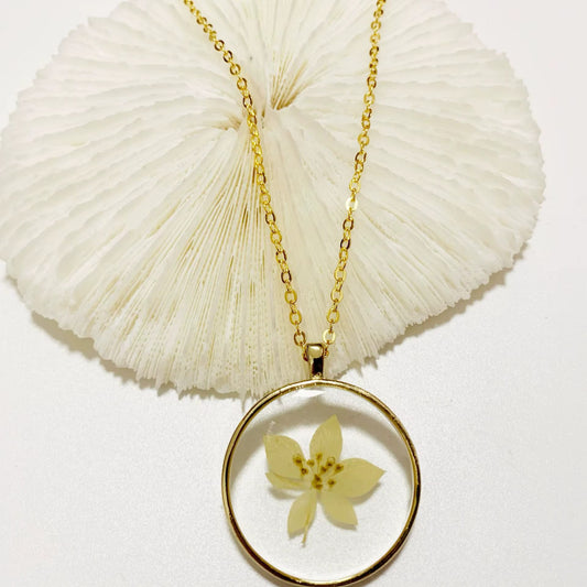 Collier Femme CL-038I